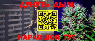 apvp Бийск