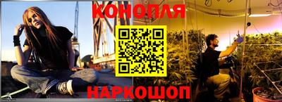 apvp Бийск