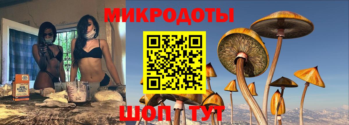 Псилоцибиновые грибы GOLDEN TEACHER Кимры