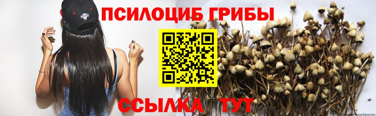 Галлюциногенные грибы Psilocybe  Вход с VPN  Кимры 